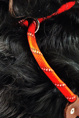 Durable Dog Lead – Adjustable Slip Loop, 150cm, Poop Bag Holder - Optimum