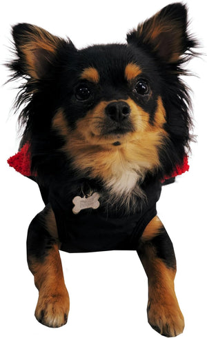 Waterproof Dog Jacket – Fleece Lining, Adjustable High Collar, Reflective - Optimum