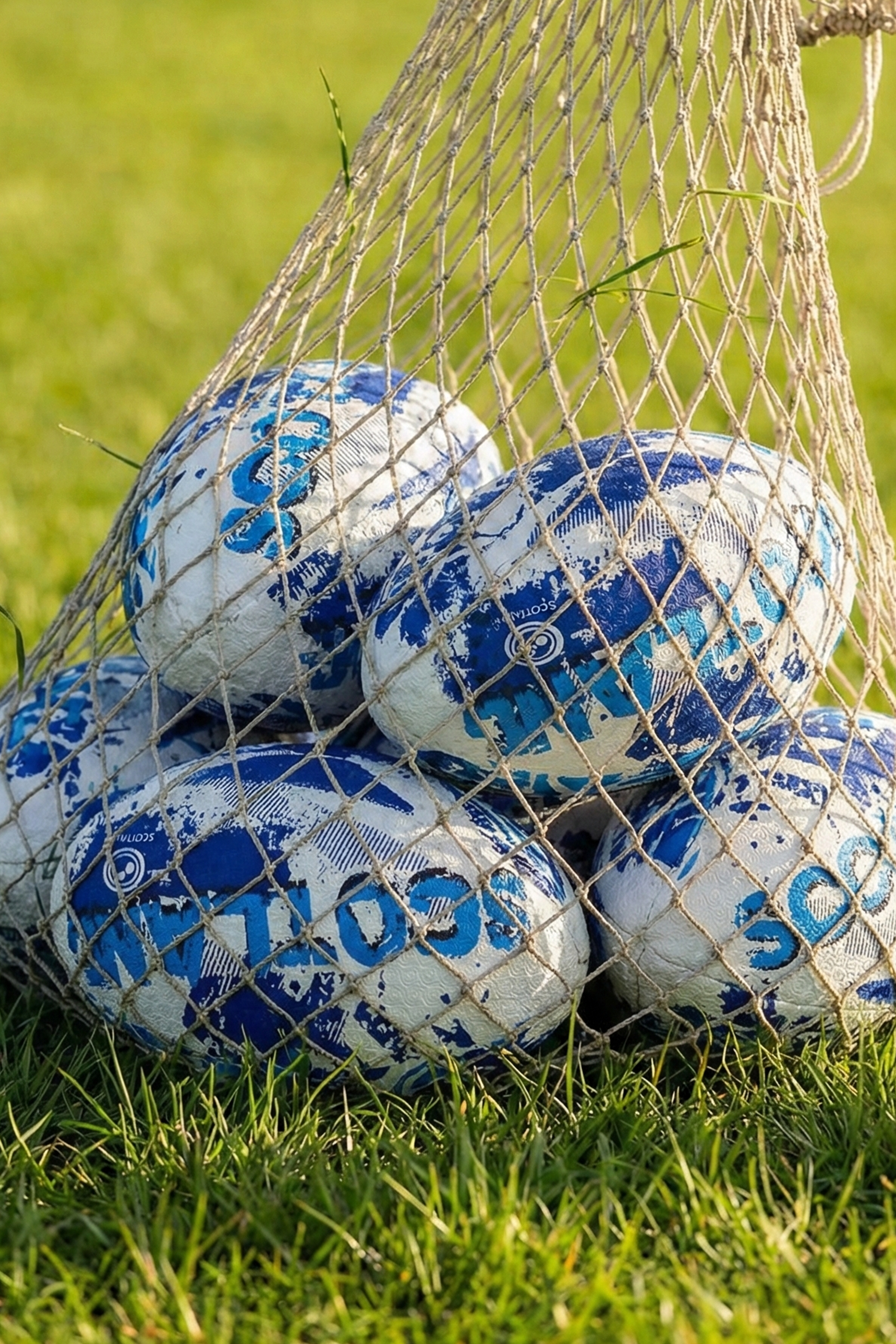 White and blue Optimum Scotland rugby balls in a net bag, resting on grass in sunlight - Optimum