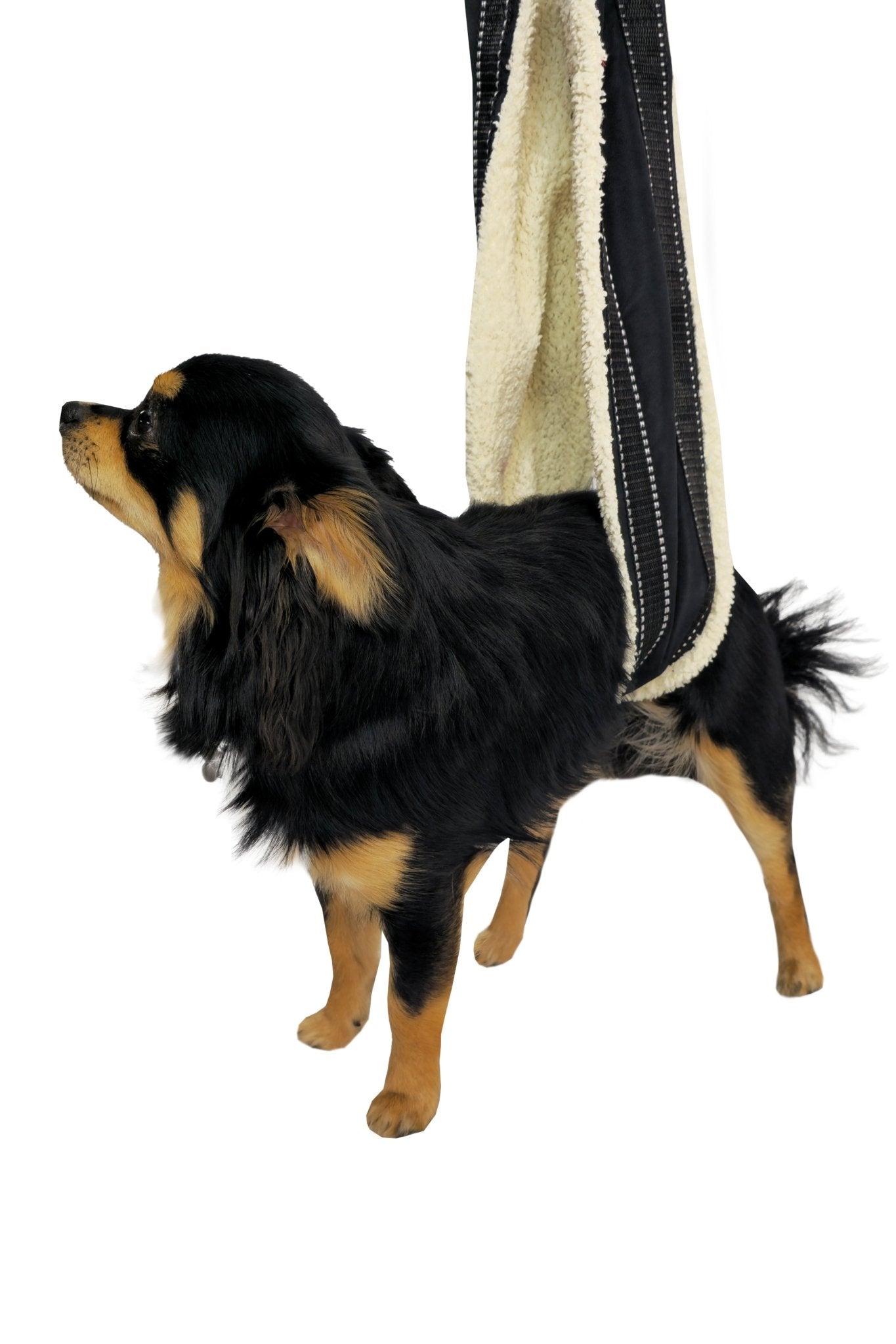 Adjustable Ergonomic Dog Harness with Reflective Strips and Handles - Optimum