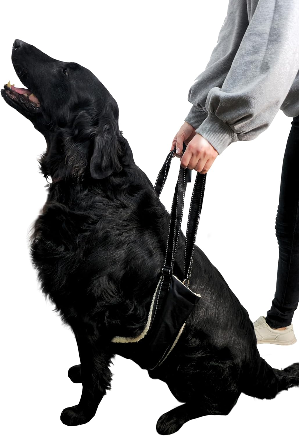 Adjustable Ergonomic Dog Harness with Reflective Strips and