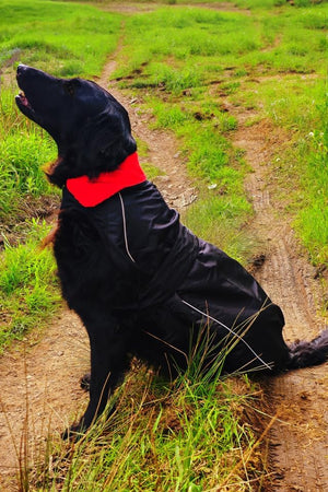 Waterproof Dog Jacket – Fleece-Lined, Reflective, Adjustable Fit - Optimum
