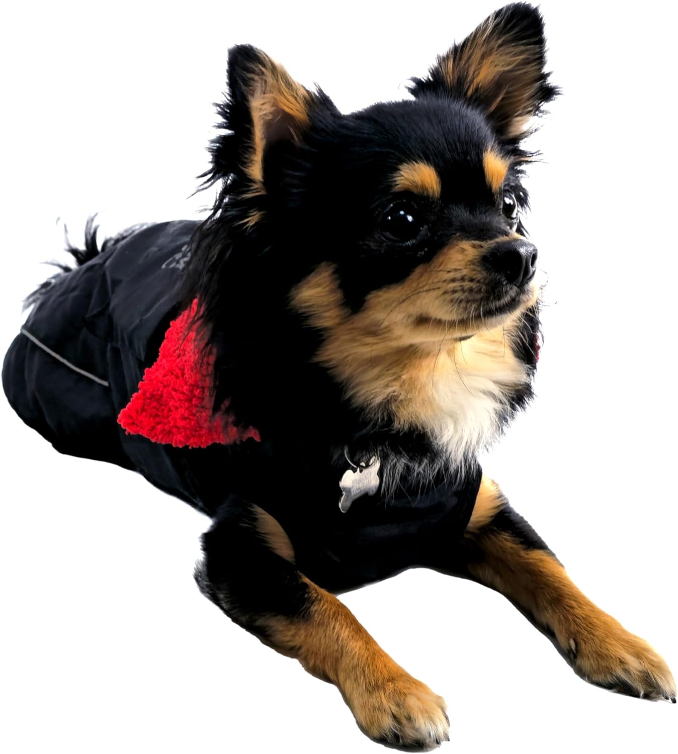 Waterproof Dog Jacket – Fleece-Lined, Reflective, Adjustable Fit - Optimum