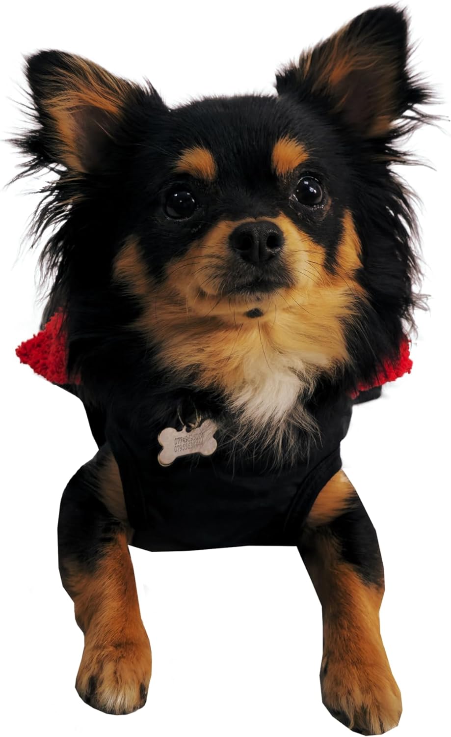 Waterproof Dog Jacket – Fleece-Lined, Reflective, Adjustable Fit - Optimum