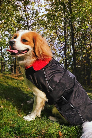 Waterproof Dog Jacket – Fleece Lining, Adjustable High Collar, Reflective - Optimum