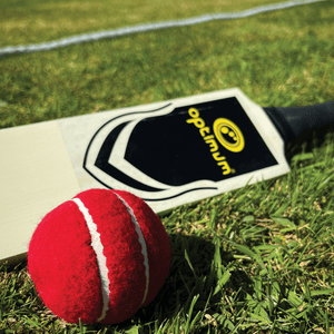Wooden Cricket Set – Bat, Ball, Stumps & Carry Bag, All Ages - Optimum